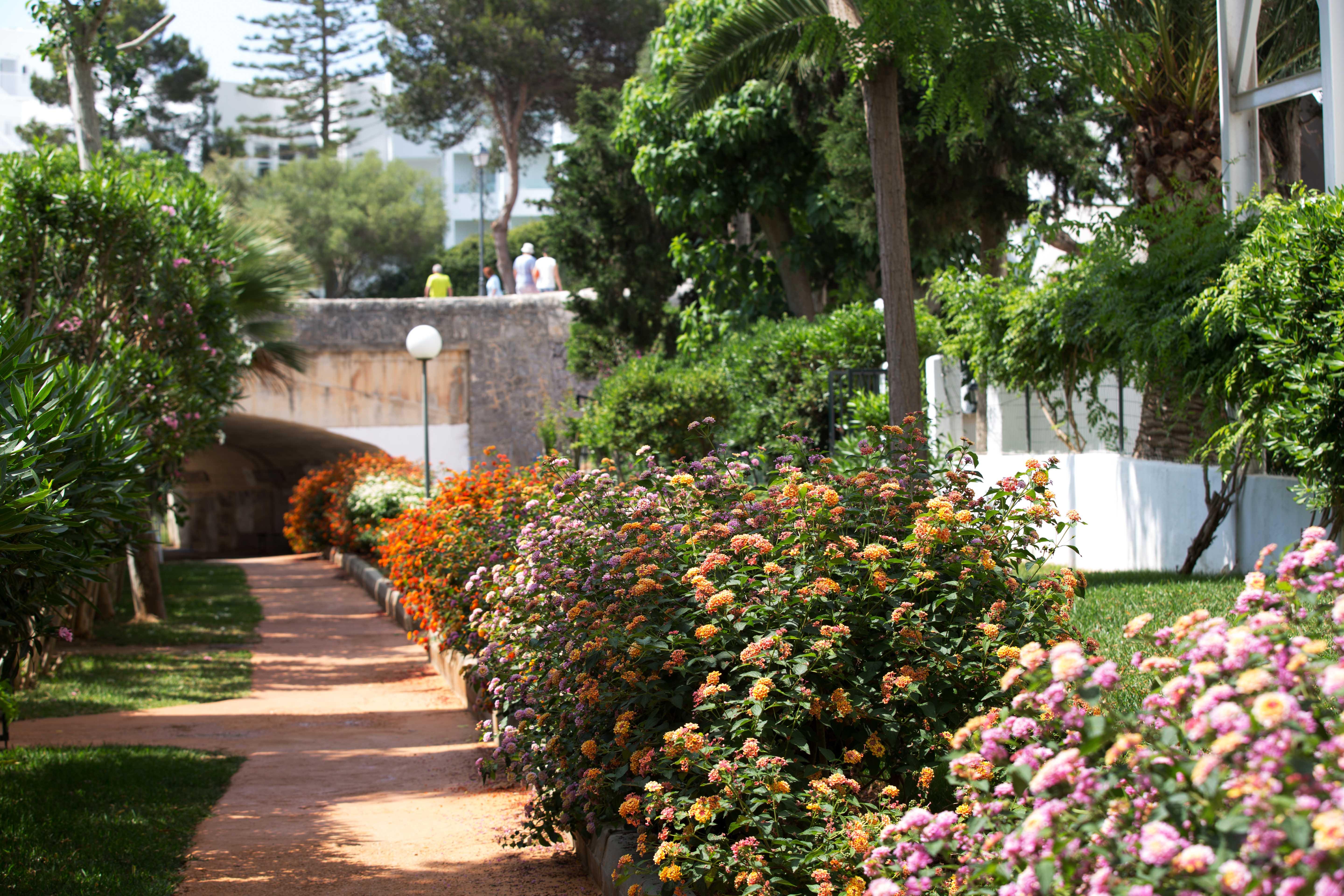 Hotel Gavimar Cala Gran And