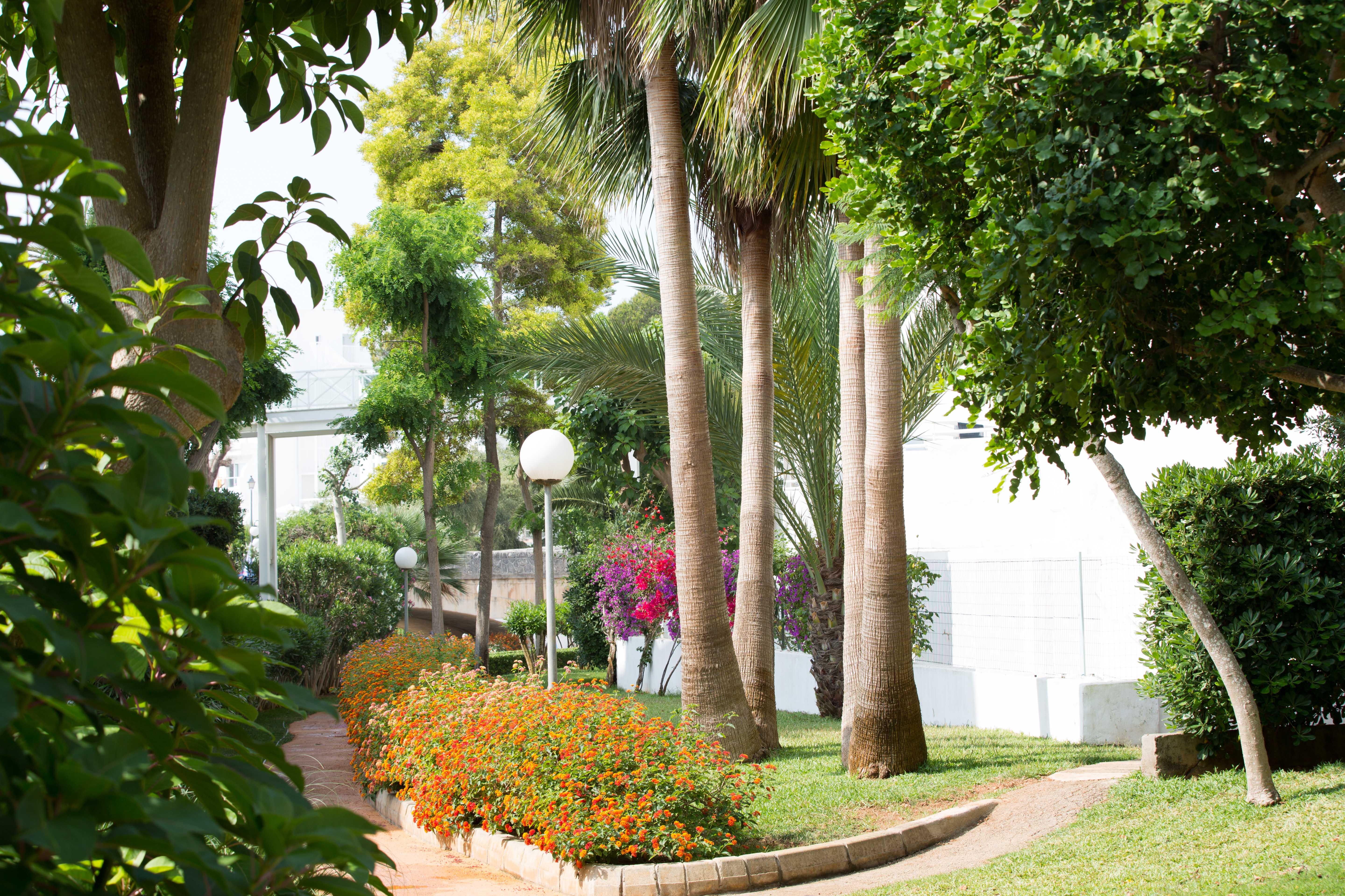 Gavimar Cala Gran And Hotel