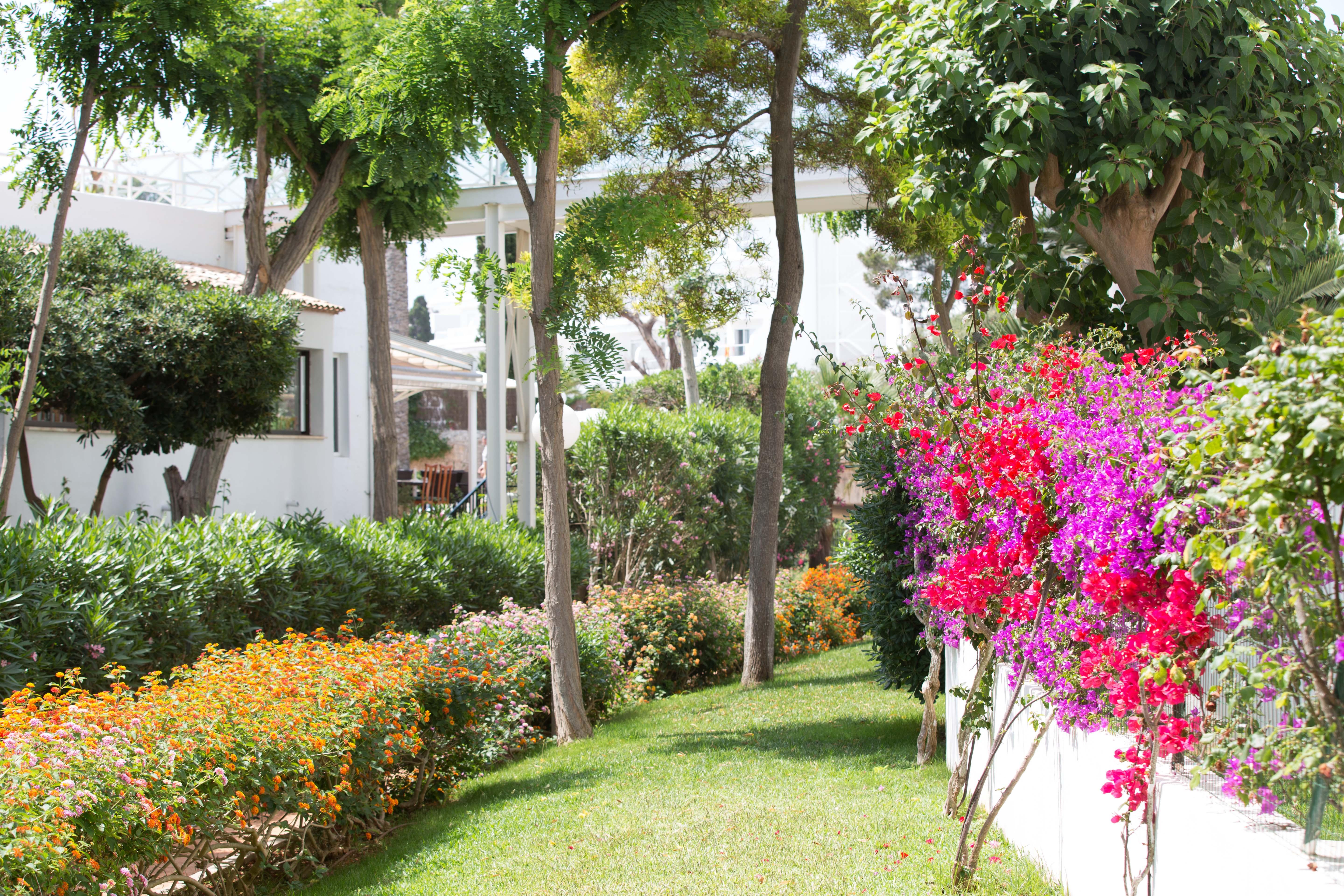 Gavimar Cala Gran And Hotel